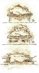 Cartoon Grafik Titel: Bodybuilding -  zum vergr��ern auf die Grafik klicken