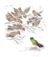 Cartoon Druckgrafik �tzradierung   Titel : Das kleine bunte V�gelchen - hier zum vergr��ern klicken