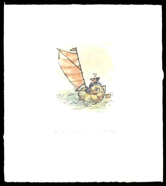 Dadeldu-Schneck-  zur&uuml;ck zur &Uuml;bersicht hier klicken