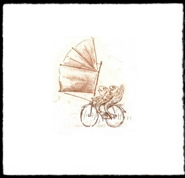 Fischlandfahrt - zur&uuml;ck zur &Uuml;bersicht bitte hier klicken