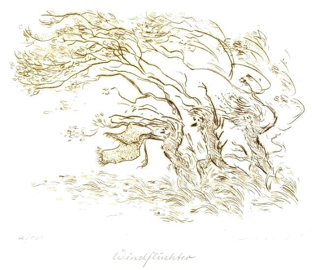 Radierung   Landschaft    Titel : Im Gespensterwald  -  ein klick f&uuml;hrt zur&uuml;ck zur &Uuml;bersicht