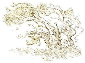 Druckgrafik   Landschaft    Titel : Im Gespensterwald zum vergr��ern anklicken