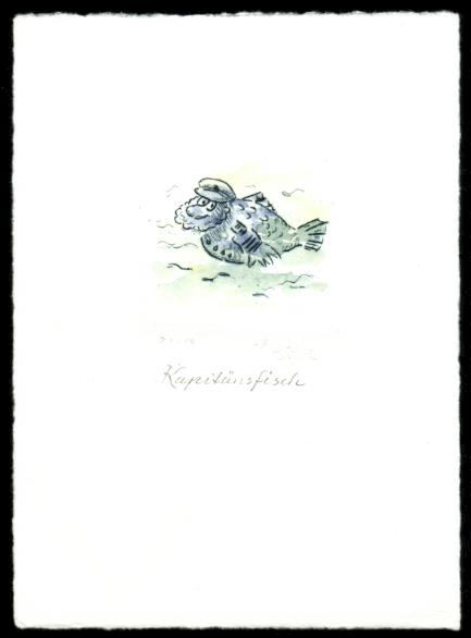 Kapit&auml;nsfisch - zur&uuml;ck zur &Uuml;bersicht bitte hier klicken