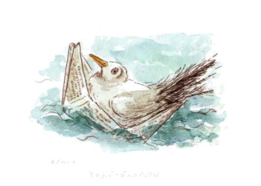 Cartoon  Kaltnadelradierung/Aquarell  Titel : Kapit&auml;nsbild  -  zur&uuml;ck zur &Uuml;bersicht hier klicken