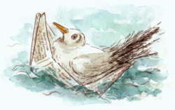 Cartoon   Druckgrafik   Kaltnadelradierung   Titel : Kapit�nsbild  -  hier zum vergr��ern klicken