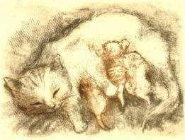 Radierung Katzen Vernis mou   Titel : Kinderstube - hier zum vergr��ern klicken