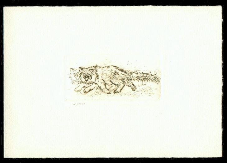 Cartoon   Kaltnadelradierung   Titel : Kater strophe  -  zur&uuml;ck zur &Uuml;bersicht hier klicken