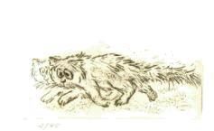 Cartoon Druckgrafik Kaltnadelradierung   Titel : Die Kater strophe - hier zum vergr��ern klicken