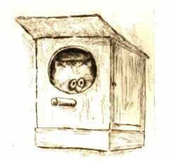 Cartoon Druckgrafik Kaltnadelradierung   Titel : Kater im Vogelhaus - hier zum vergr��ern klicken