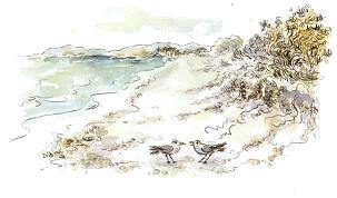 Druckgrafik   Landschaft    Titel : Kl�nsnack zum vergr��ern anklicken