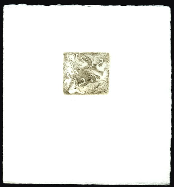 Cartoon   Kaltnadelradierung  Titel : Leda  -  zur&uuml;ck zur &Uuml;bersicht hier klicken