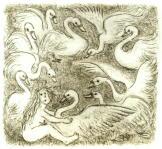 Cartoon Druckgrafik Kaltnadelradierung   Titel : Leda - hier zum vergr��ern klicken