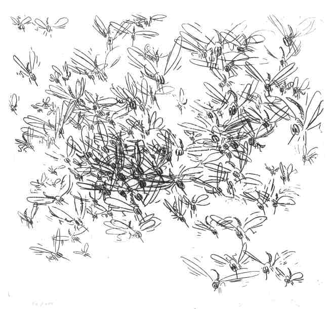 Cartoon  Grafik  Titel: Sommernachtstraum   Technik: &Auml;tzradierung   Plattenformat: 22 cm x 19 cm   Papierformat ca. 39 cm x 30 cm   gedruckt auf B&uuml;ttenpapier   Auflage 1 - 100  -  zur&uuml;ck zur &Uuml;bersicht bitte hier klicken