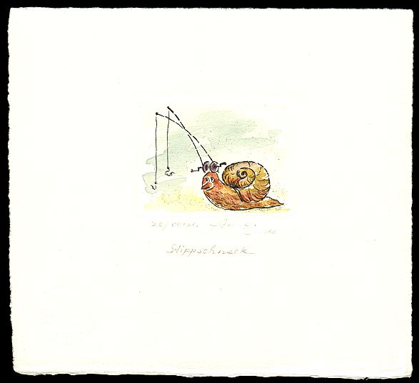 Stippschneck -  zur&uuml;ck zur &Uuml;bersicht hier klicken