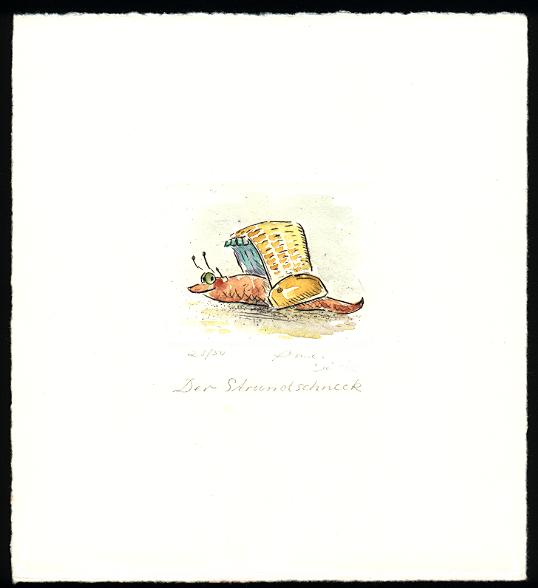 Strandschneck -  zur&uuml;ck zur &Uuml;bersicht hier klicken