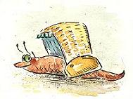 Cartoon Grafik Titel: Strandschneck -  zum vergr��ern auf die Grafik klicken