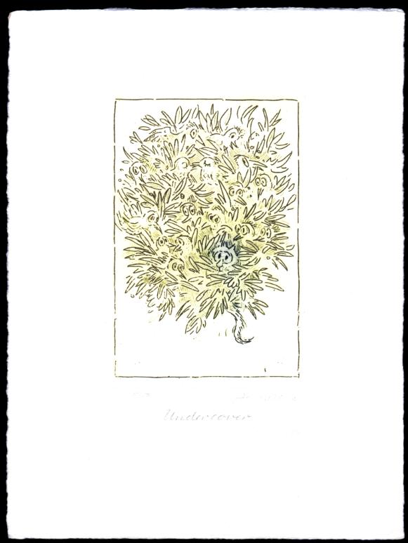 Undercover - zur&uuml;ck zur &Uuml;bersicht bitte hier klicken