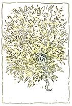 Cartoon Grafik Titel: Undercover -  zum vergr��ern auf die Grafik klicken