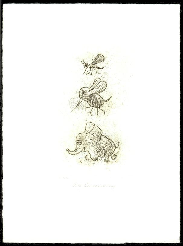 Cartoon  Vernis mou  Titel : Die Wandlung  -  zur&uuml;ck zur &Uuml;bersicht hier klicken