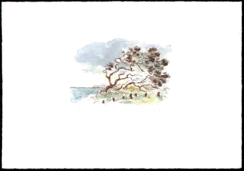 Radierung   Landschaft   Titel : Windfl&uuml;chter  -  mit einem Klick zur&uuml;ck zur &Uuml;bersicht