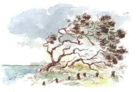 Radierungen  Landschaften  K&uuml;stenlandschaften -  ein Klick f&uuml;hrt sie zu den Aussichtspunkten