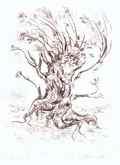 Cartoon  Grafik  Kaltnadelradierung  Titel: Zauberbaum  -  zur&uuml;ck zur &Uuml;bersicht bitte hier klicken