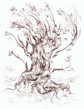Cartoon  Druckgrafik Kaltnadelradierung Titel: Zauberbaum  -  zum vergr&ouml;&szlig;ern auf die Grafik klicken